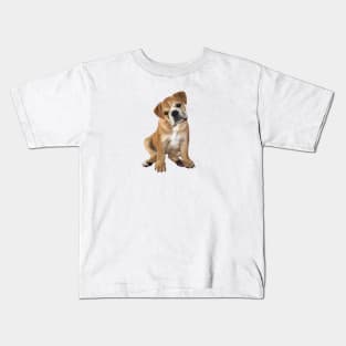 A Brown and White English Bulldog Puppy - just the dog. Kids T-Shirt